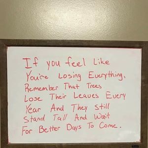 Meet your Posher, Jeff